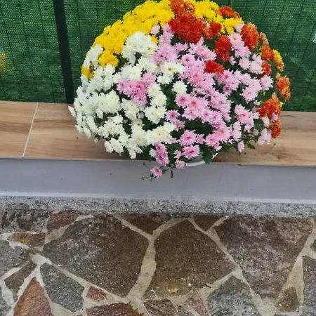 Cosulich 3* Monfalcone